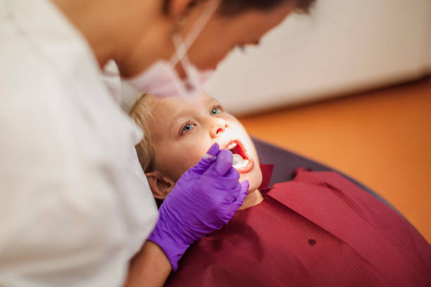 Best Emergency Dental Care for Broken or Chipped Teeth in Williamsburg, FL